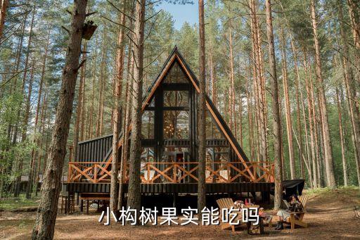 小構(gòu)樹果實能吃嗎