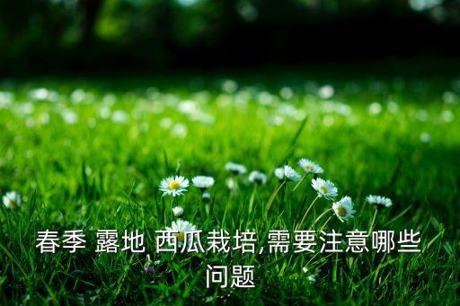 春季 露地 西瓜栽培,需要注意哪些問(wèn)題