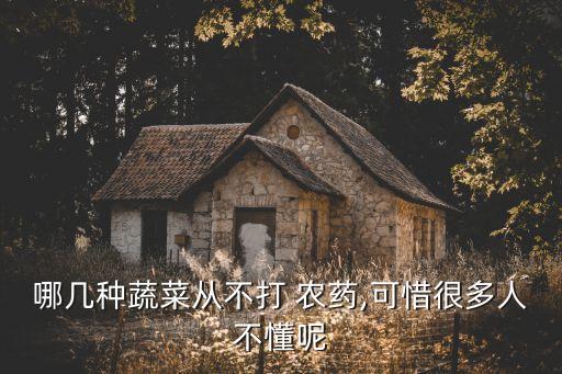 哪幾種蔬菜從不打 農藥,可惜很多人不懂呢