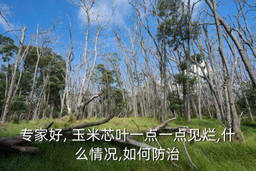 專家好, 玉米芯葉一點(diǎn)一點(diǎn)見(jiàn)爛,什么情況,如何防治