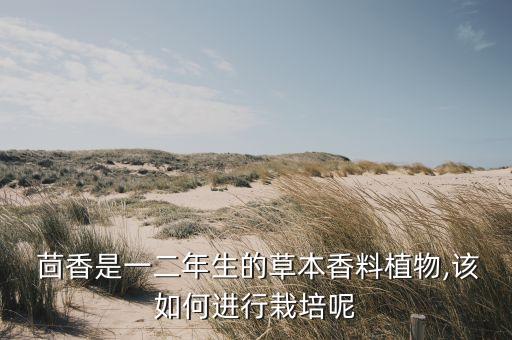茴香什么季節噴農藥,茴香打什么農藥