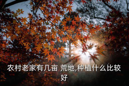荒地打什么農藥不長草