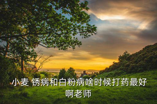 銹病用什么農藥最好,小麥銹病打什么農藥