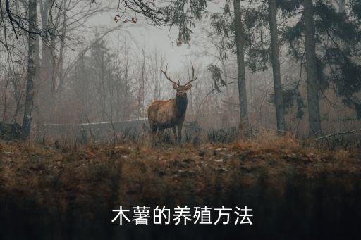  木薯的養殖方法