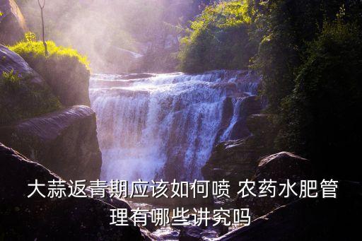  大蒜返青期應該如何噴 農藥水肥管理有哪些講究嗎