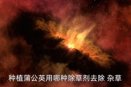 什么農藥除雜草好用,春季雜草用什么農藥效果好