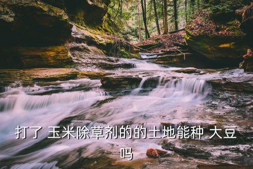 打了 玉米除草劑的的土地能種 大豆嗎