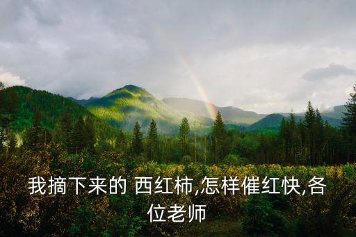 西紅柿打什么農藥才能紅,種植西紅柿用什么農藥