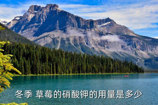 草莓農藥有什么用量,草莓打的什么農藥