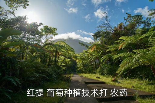 葡萄果園噴什么農藥好,葡萄用什么泡可以去農藥嗎