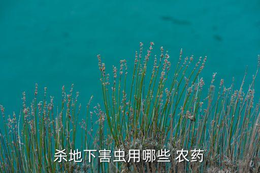 殺地下害蟲用哪些 農藥