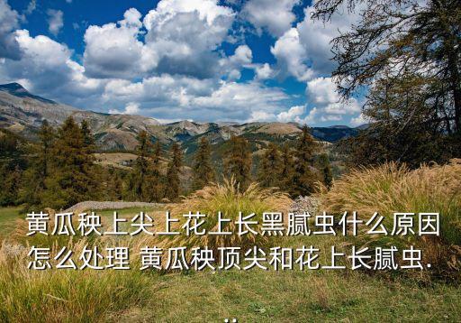黃瓜不打農藥有什么辦法