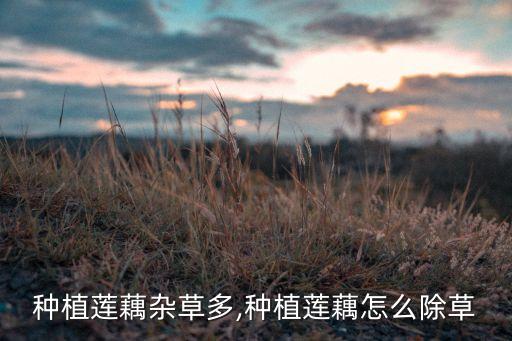 藕用什么農藥殺蟲的多了,殺蟲雙可以配什么農藥