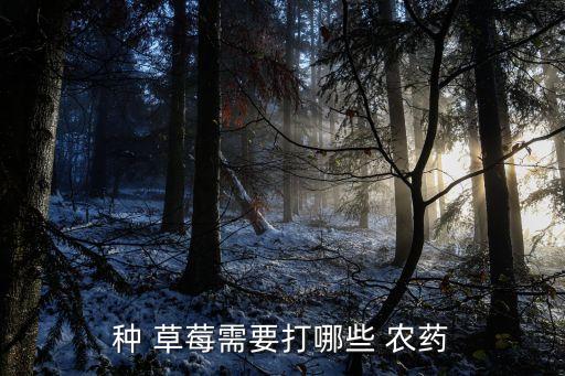 甜草莓什么天氣用農藥好,草莓一般打什么農藥