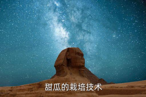  甜瓜的栽培技術