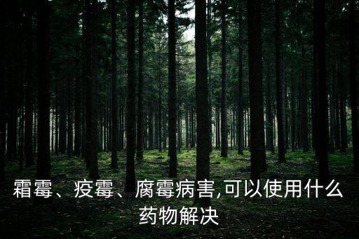 什么好的農(nóng)藥治霜霉病,霜霉病用什么農(nóng)藥