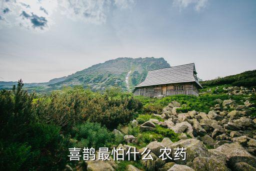 喜鵲最怕什么 農(nóng)藥