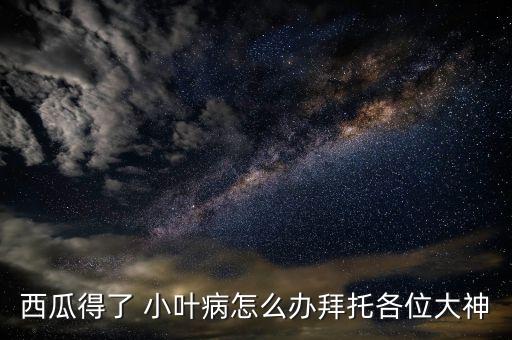 殺小葉用什么農藥,什么農藥殺老鼠效果最好