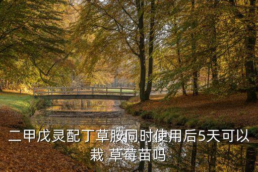 二甲戊靈配丁草胺同時使用后5天可以栽 草莓苗嗎