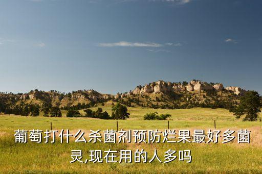  葡萄打什么殺菌劑預防爛果最好多菌靈,現在用的人多嗎