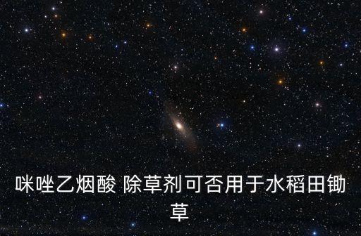 咪唑乙煙酸 除草劑可否用于水稻田鋤草