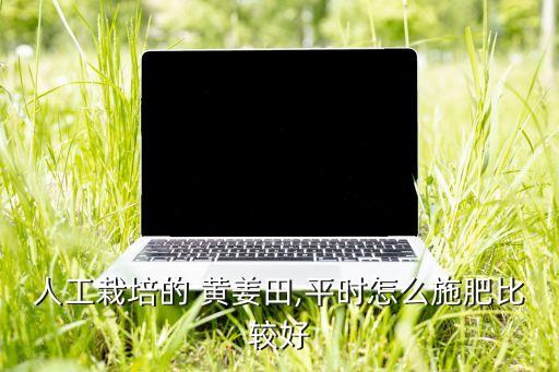 黃姜打什么農藥除草