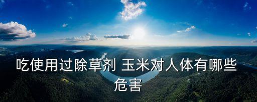玉米噴農藥有什么危害,什么農藥能讓玉米不結棒