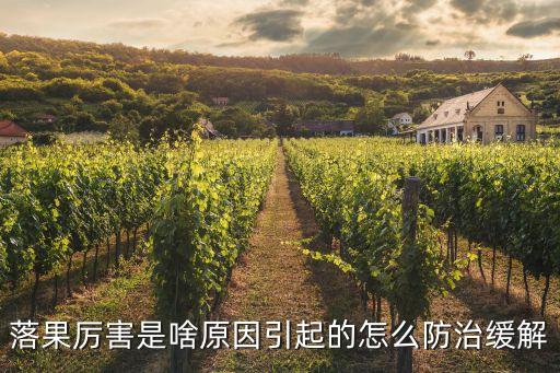 落果厲害是啥原因引起的怎么防治緩解