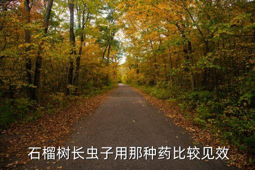 ,石榴套袋前打什么農藥