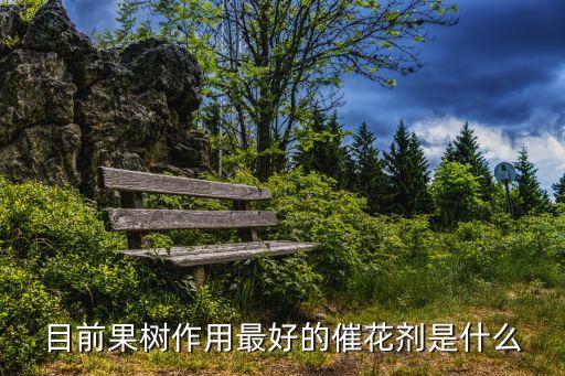 脆紅李開花打什么農藥