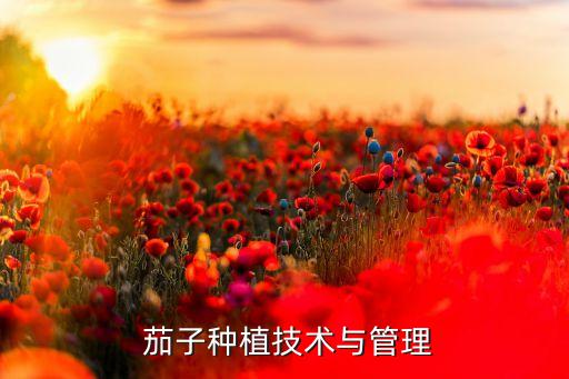  茄子種植技術與管理