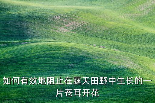 蒼耳用什么農藥,蒼耳的種子通過什么傳播