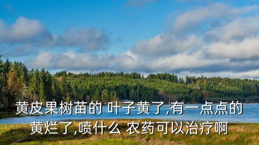 葉子腐爛病用什么農(nóng)藥,冶腐爛病什么農(nóng)藥好