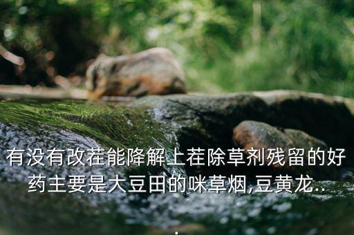 有沒有改茬能降解上茬除草劑殘留的好藥主要是大豆田的咪草煙,豆黃龍...