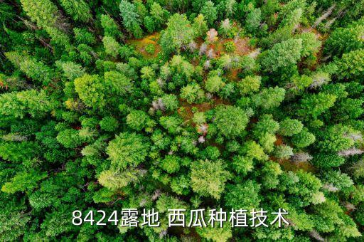 西瓜育苗基質(zhì)拌什么農(nóng)藥,基質(zhì)育苗注意什么