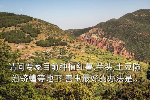 香芋害蟲用什么農藥,地里的害蟲用什么農藥殺