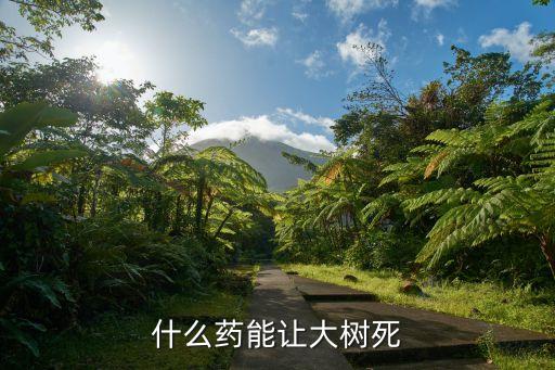 什么藥能讓大樹死