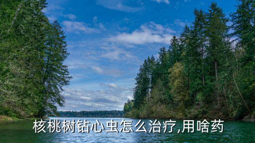  核桃樹鉆心蟲怎么治療,用啥藥