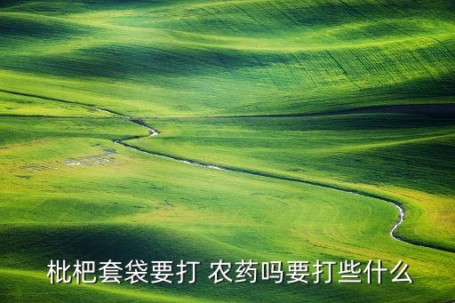 枇杷用什么打農藥,枇杷需要打農藥嗎