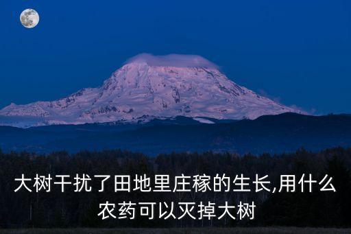 大樹干擾了田地里莊稼的生長,用什么 農藥可以滅掉大樹