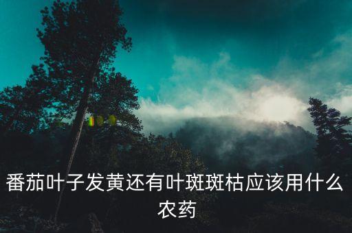 番茄葉子發黃還有葉斑斑枯應該用什么 農藥