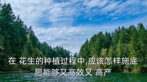 在 花生的種植過程中,應該怎樣施底肥能夠又高效又 高產