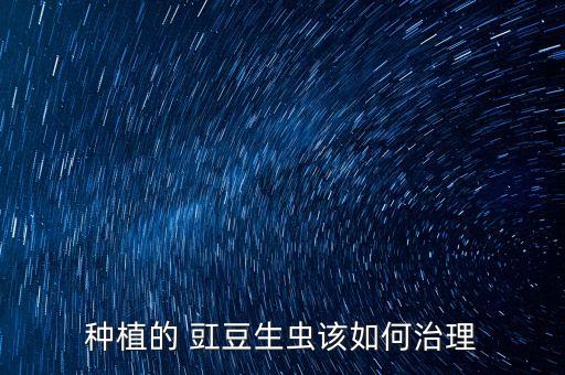 種植的 豇豆生蟲該如何治理