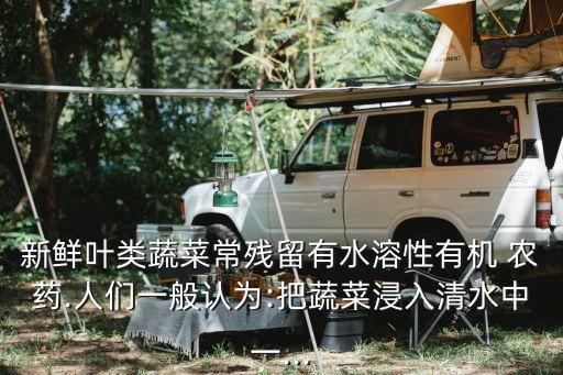 促進農(nóng)藥吸收的是什么,促進維生素c吸收的是什么