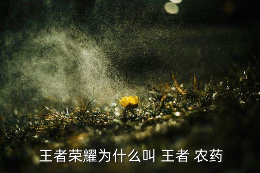  王者榮耀為什么叫 王者 農藥