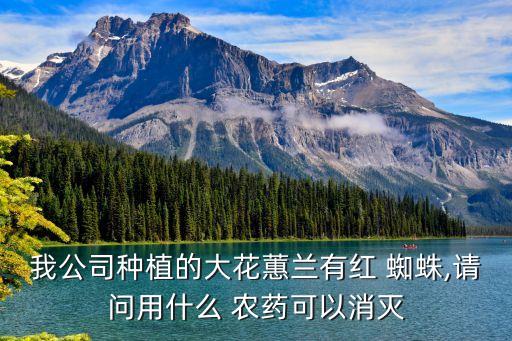 花卉蜘蛛用什么農藥,花卉農藥什么品牌好推薦