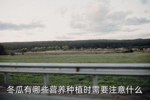 冬瓜有哪些營養種植時需要注意什么