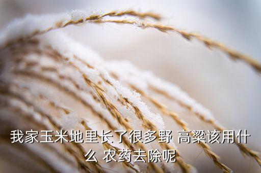 高粱施什么農(nóng)藥最好使,高粱農(nóng)藥有什么品種