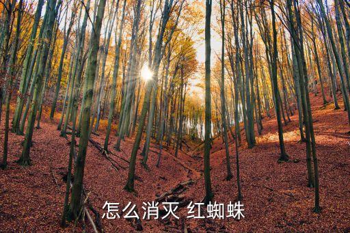 用什么農藥治紅蜘蛛病,什么農藥對紅蜘蛛最有效