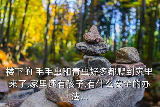 毛毛蟲用什么農(nóng)藥噴,香菜一般噴什么農(nóng)藥